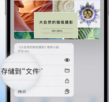 锦屏apple维修中心分享iPhone文件应用中存储和找到下载文件