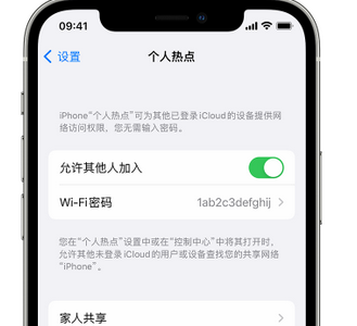 锦屏apple服务站点分享iPhone上个人热点丢失了怎么办 