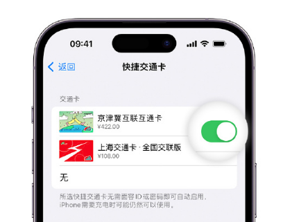 锦屏apple维修点分享iPhone上更换Apple Pay快捷交通卡手绘卡面 