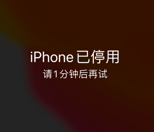 锦屏苹果手机维修分享:iPhone 显示“不可用”或“已停用”怎么办？还能保留数据吗？ 