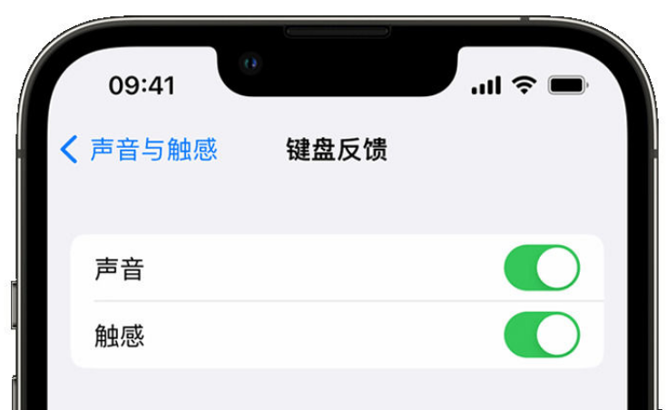 锦屏苹果手机维修分享iPhone 14触感键盘使用方法 