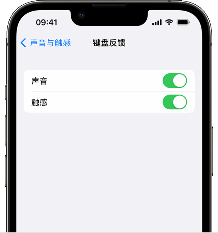 锦屏苹果14维修店分享如何在 iPhone 14 机型中使用触感键盘 