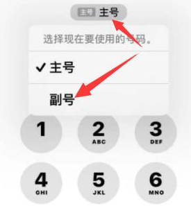 锦屏苹果14维修店分享iPhone 14 Pro Max使用副卡打电话的方法 