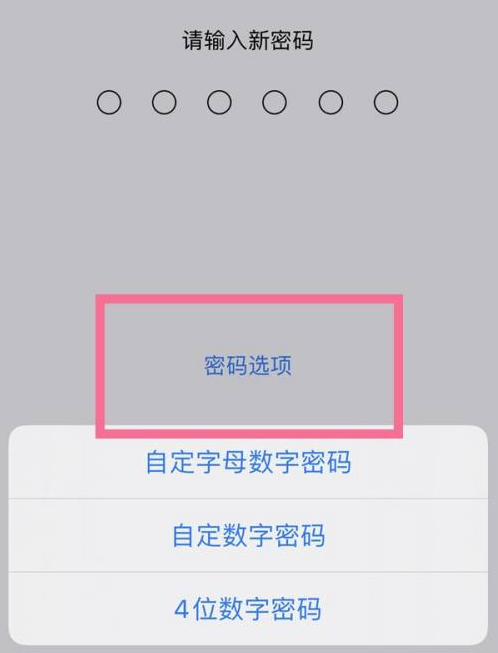 锦屏苹果14维修分享iPhone 14plus设置密码的方法 