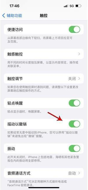 锦屏苹果手机维修分享iPhone手机如何设置摇一摇删除文字 