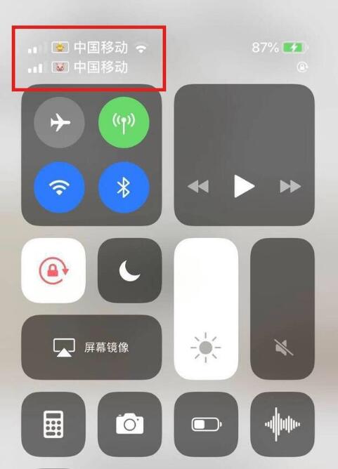 锦屏苹果手机维修分享为 iPhone 12 双卡设置标签 