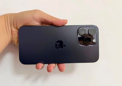 锦屏苹果维修点分享iPhone 14 Pro Max黑屏少见故障盘点 